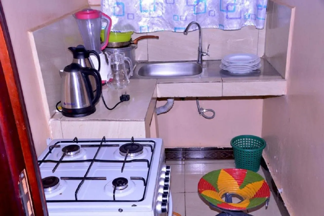 Antique Apartments Εντέμπε 0*,